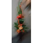 Антуриум Антуриум