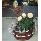 Кошница Кошница