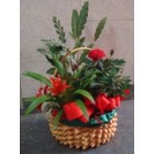 Кошница Кошница