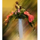 Букет Букет