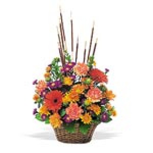 Кошница Свеж полъх