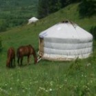 Еднодневно приключение "Назад към корените" Еднодневно приключение "Назад към корените"