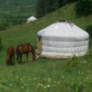 Еднодневно приключение "Назад към корените" Еднодневно приключение "Назад към корените"