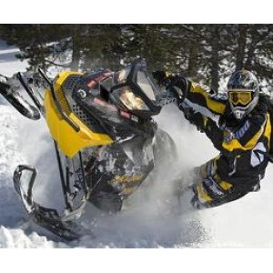 Моторна шейна 