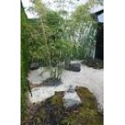 Източно Дзен настроение SPA Източно Дзен настроение SPA