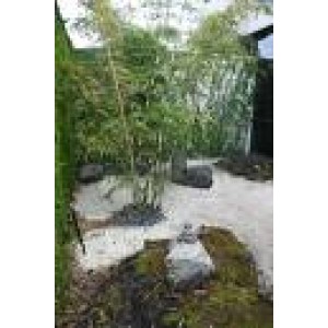 Източно Дзен настроение SPA Източно Дзен настроение SPA