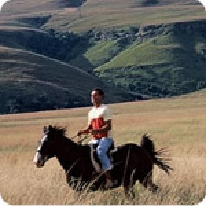 Урок по езда