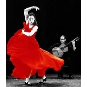 Фламенко - 6 урока Фламенко - 6 урока