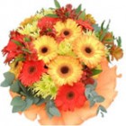 Букет гербери 9 бр. Букет гербери 9 бр.