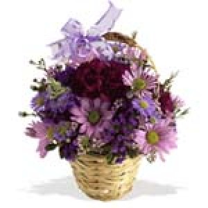 Кошница Феерия