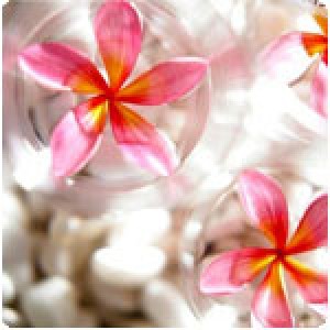 Сметана за нея, мляко за него! Масаж за двама. Сметана за нея, мляко за него! Масаж за двама.