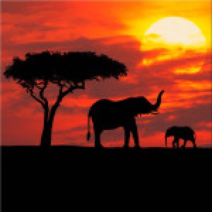 Кения - невероятна и дива