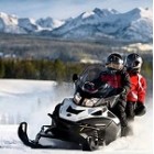 Моторна шейна за двама Моторна шейна за двама