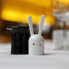 Rabbit in the Hat Shakers