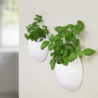 Eco Pod - Self Watering Herb Pot (2 pack)
