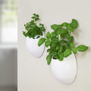 Eco Pod - Self Watering Herb Pot (2 pack)