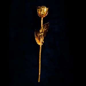 Gold Rose
